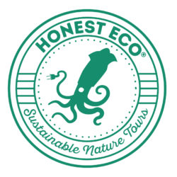 2. Squid Main Logo Sustainable nature tours green badge JPEG (1)